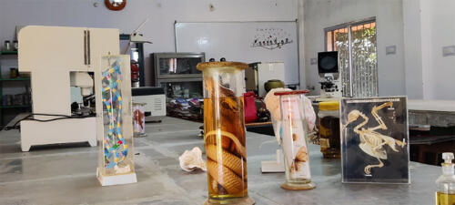 Zoology Lab